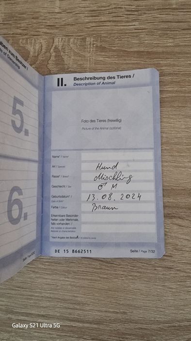 Câine ciobănesc german