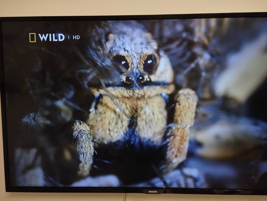 Телевизор 43' Philips UHD 4K SMART като нов