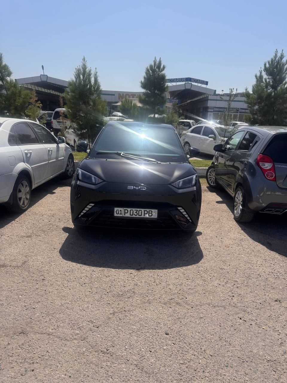 BYD  Seagull  Xitoy
