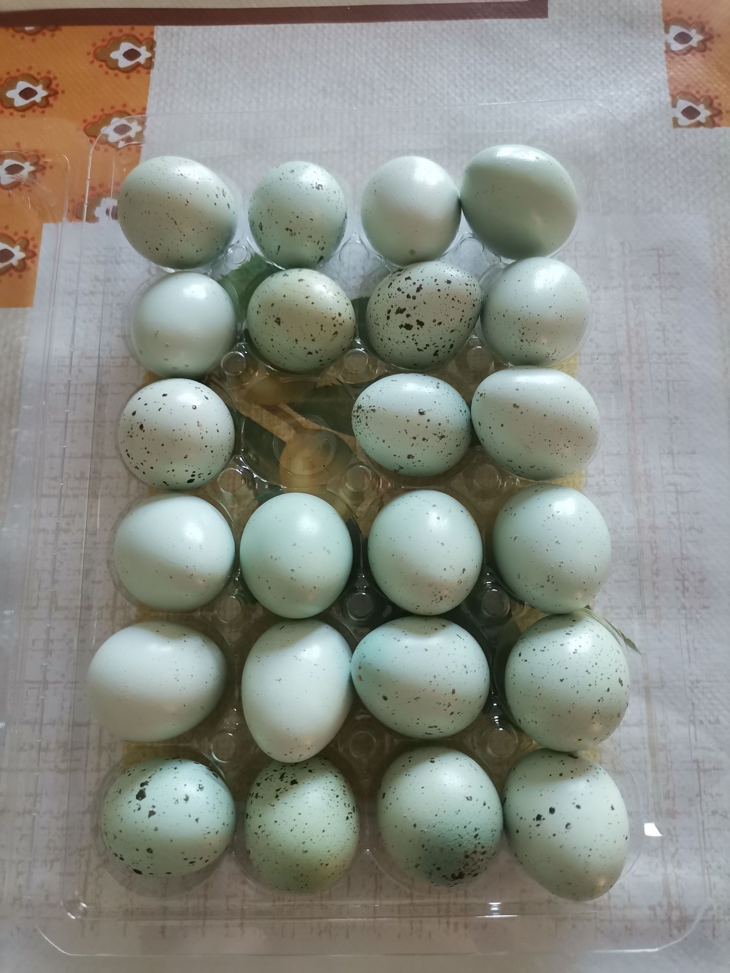 Ouă de prepeliță și de găină de casă