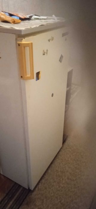 Хладилник Ением 120см