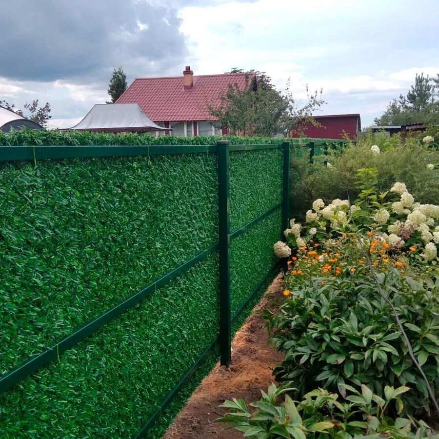Suniyzabor #green #garden