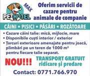 Cazare / Pensiune câini si animale de companie.