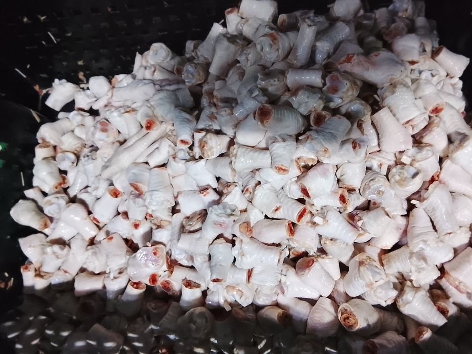 Корм для собак и кошек КУРИНЫЕ