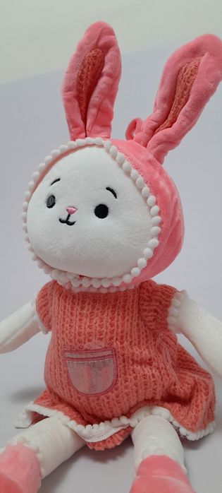 Кролик в одежде.