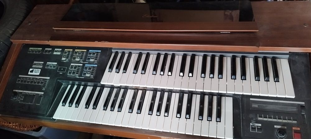 Yamaha ME30BX уникална