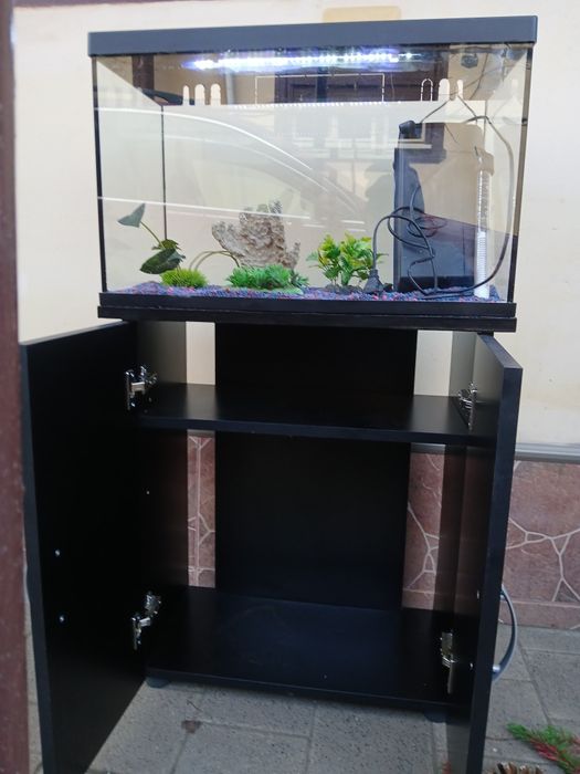 Acvariu pentru pești