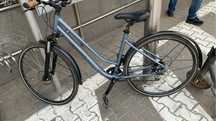 Elops  dama 28 disc