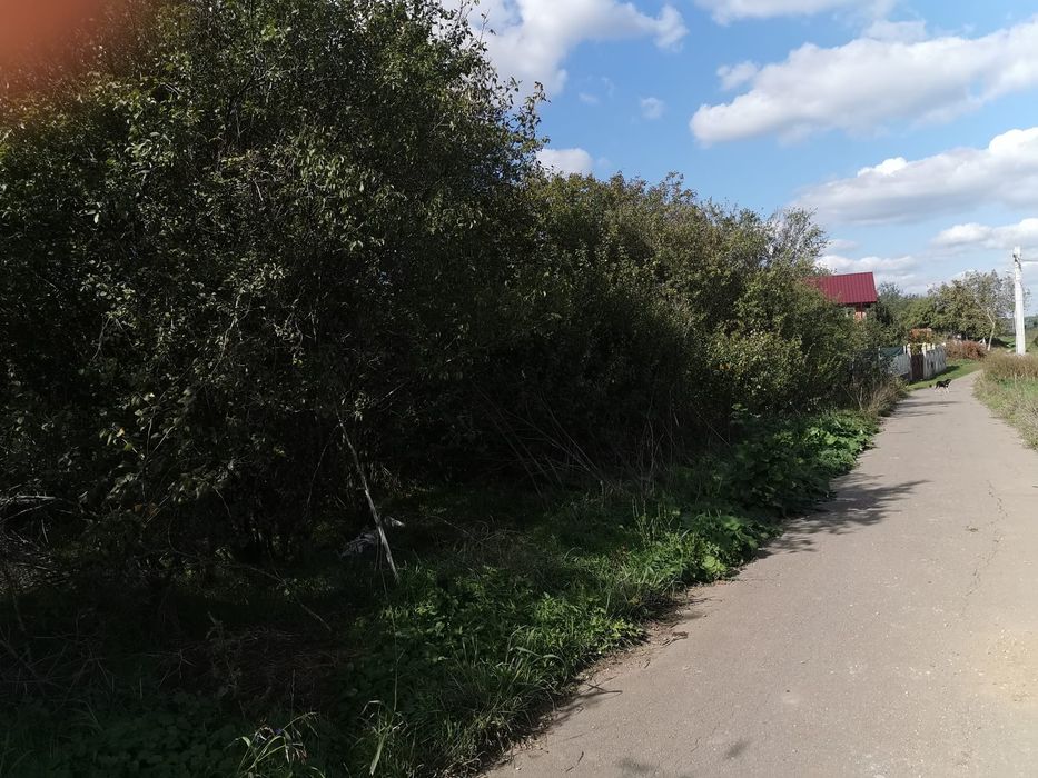 Teren intravilan comuna Dascalu Ilfov