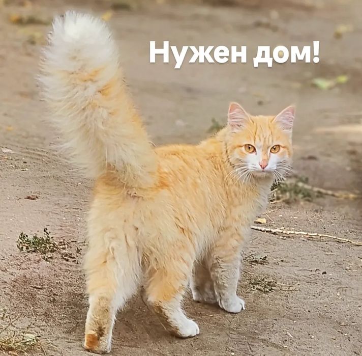 Два подростка 3-4 месяца