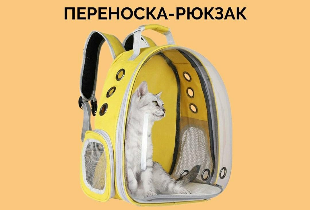 Переноска рюкзак для  кошек и котят катов