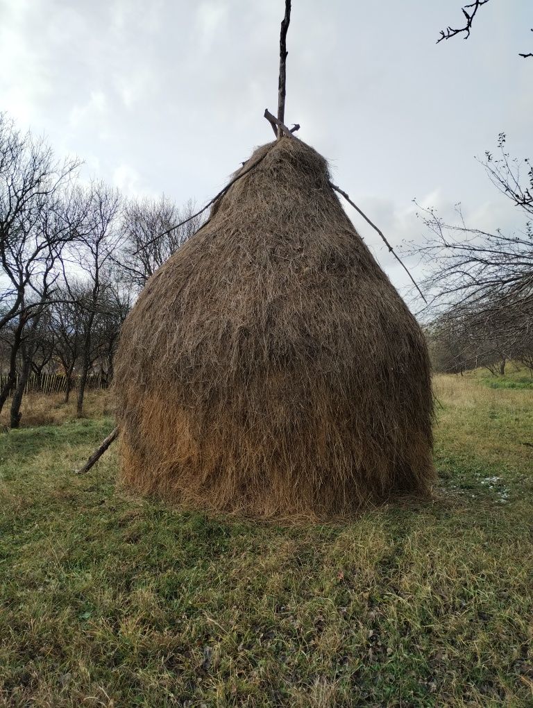 Vând fân de grădină, anul 2023. Am 3 clăi în Baru judetul Hunedoara.