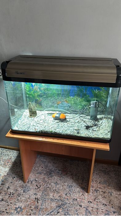 Заводской аквариум 150 л