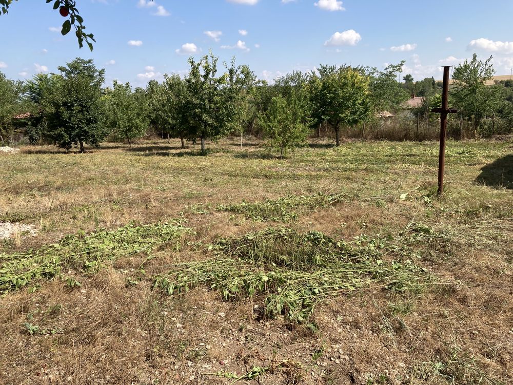 Парцел с къща в общ. Аксаково село Крумово