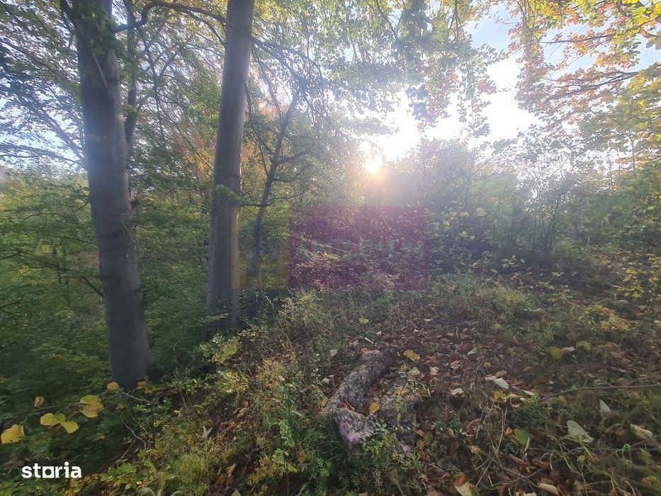 Teren intravilan de vanzare in Telega