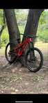 Specialized stumpjumper