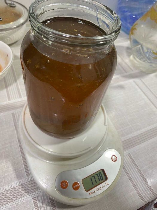 Tog'lik asal tabiiiy 100% Piskom / Горный мед натуральный 100% Пскем