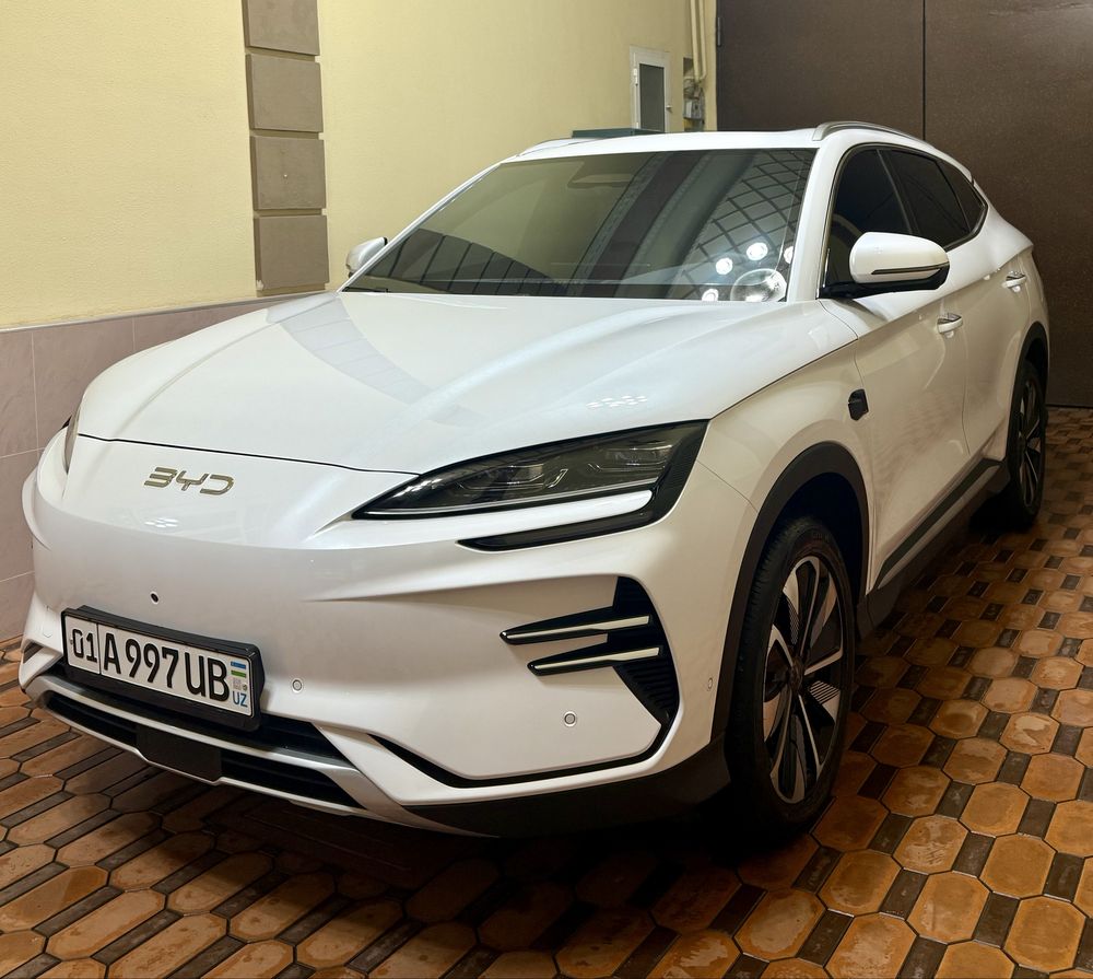 BYD Champion Smart 605km