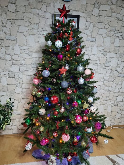 Brad artificial caucazian