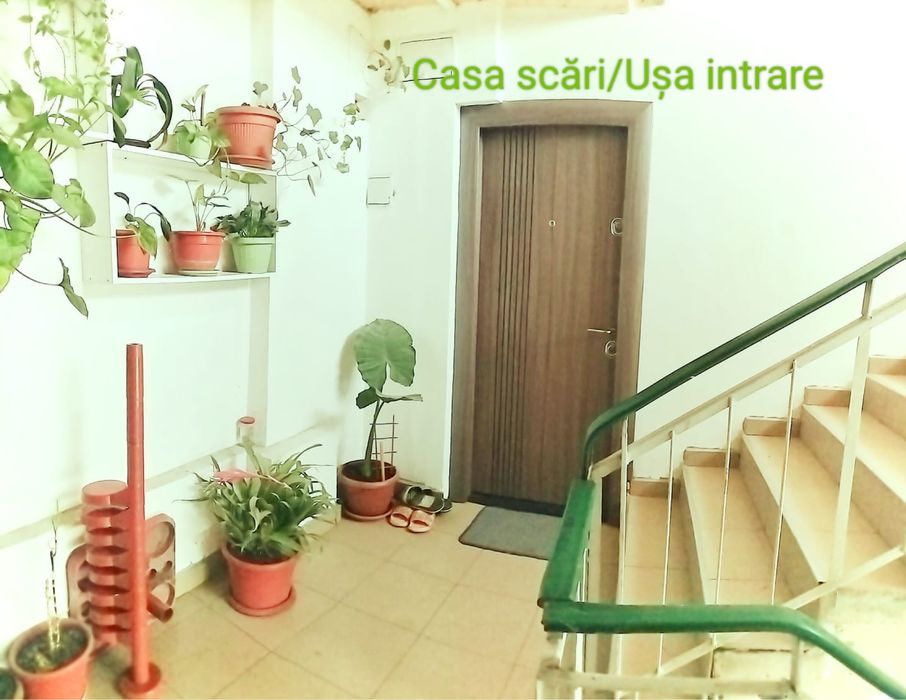 apartamente de vanzare rovinari