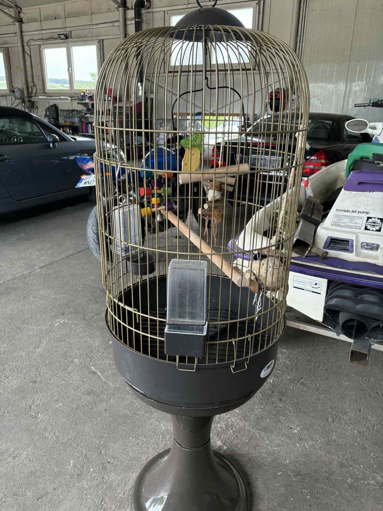 Vand cusca pentru pasari sau papagali