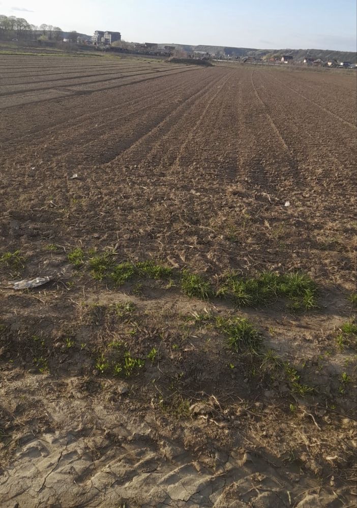 Teren intravilan de vanzare in Campia Turzii