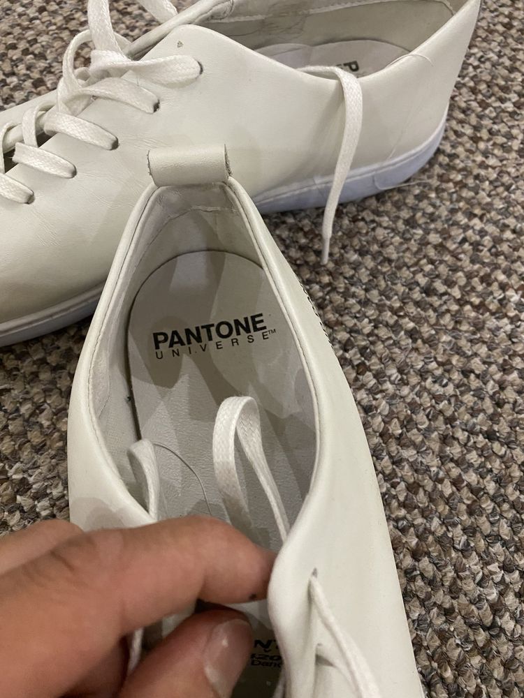 Pantone Universe cloud dancer 42 11-4201