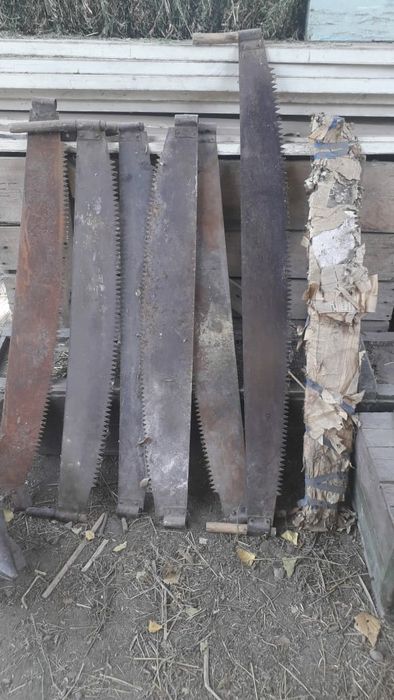 Продам пилы дружба-2