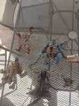 Vand diverse figurine originale de colectie