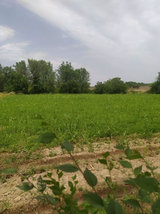 Uchastka sotiladi