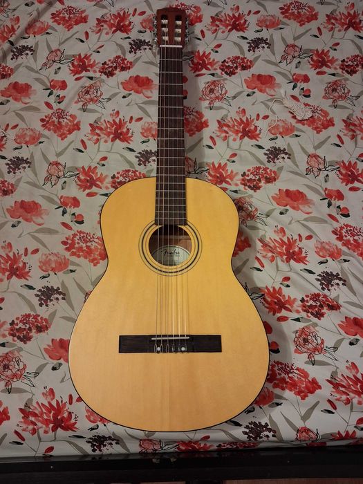 Chitara clasica,4/4,Fender ESC 110,buna invatat