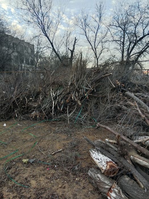 Отдам даром дрова