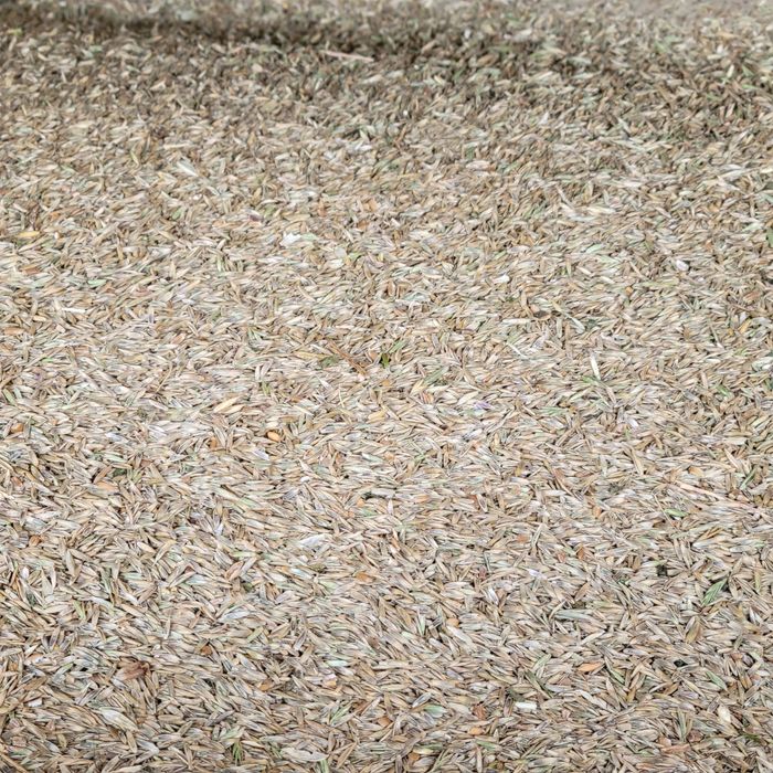 Месни газон уруг бор 1.5 тонна тошкент