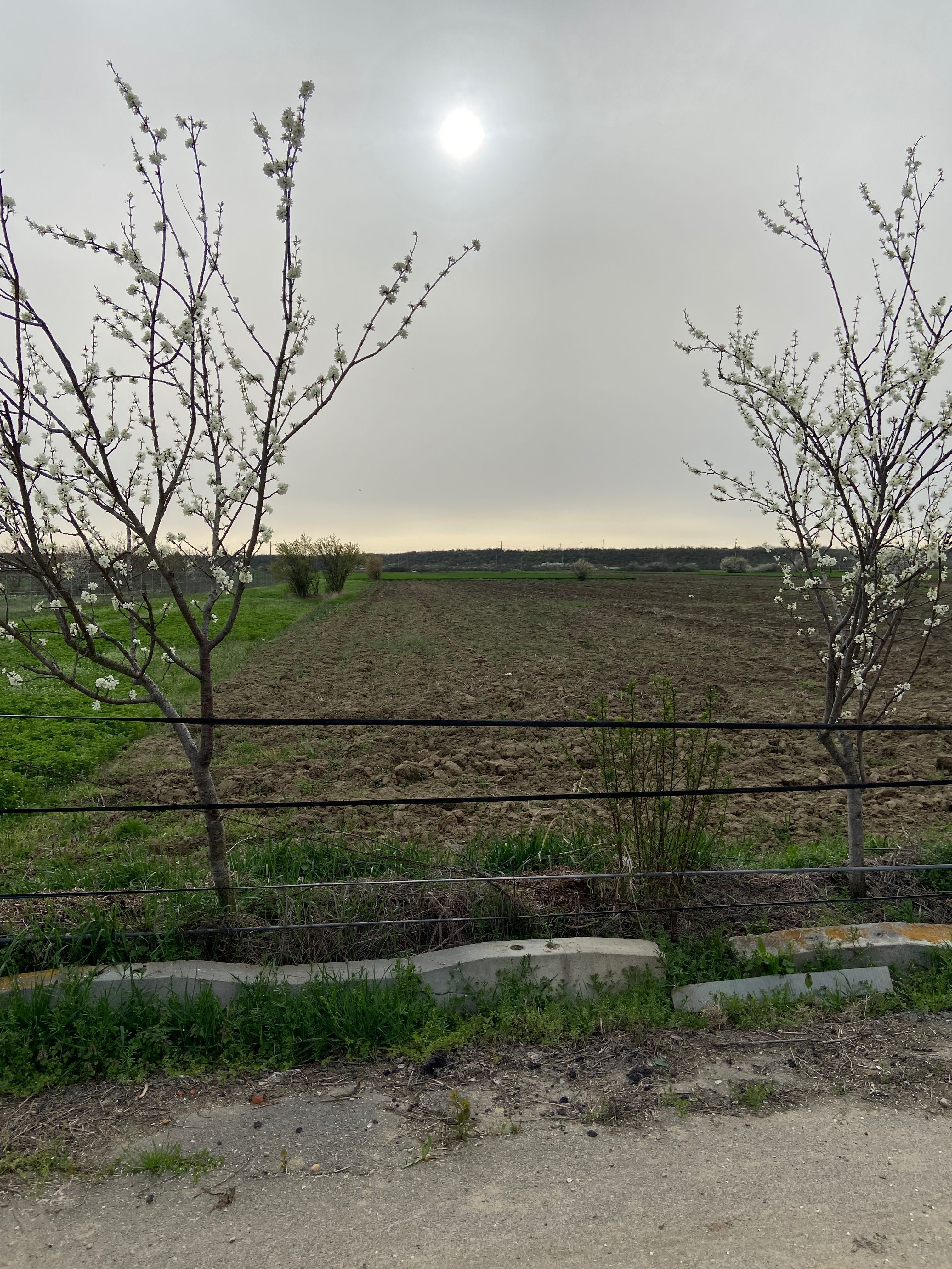 Teren casa imbunatatit Zona Linistita Aproape de Parcul Natural Comana