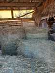 Baloti de lucernă coasa calitate foarte bună lucernă măruntă coasa 1
