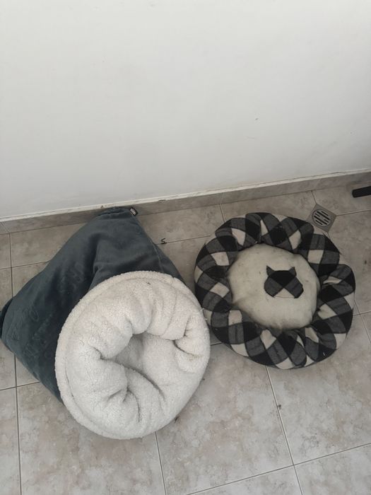 Котешки легълца.