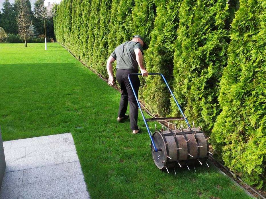 рулонный газон посевной gazon