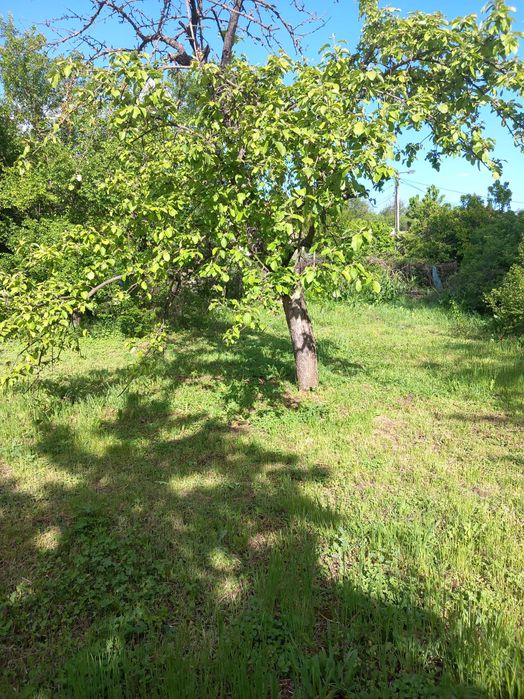 Продава се Къща в с. Долна Гращица, Област Кюстендил - 228 кв.м за 145 €/кв.м - Снимка #8