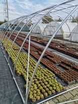 6x10 m Solar de gradina , teava galvanizata Diametrul 38 mm
