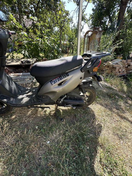 Scuter Ride Paradise 50cm 4T
