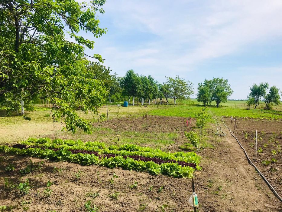 Casă de vânzare in Peciu Nou, la 17 km de Timișoara