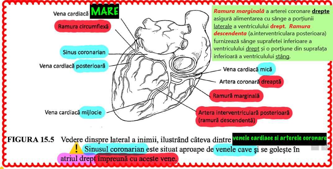 Meditatii biologie - ADMITERE MEDICINA - Barron's