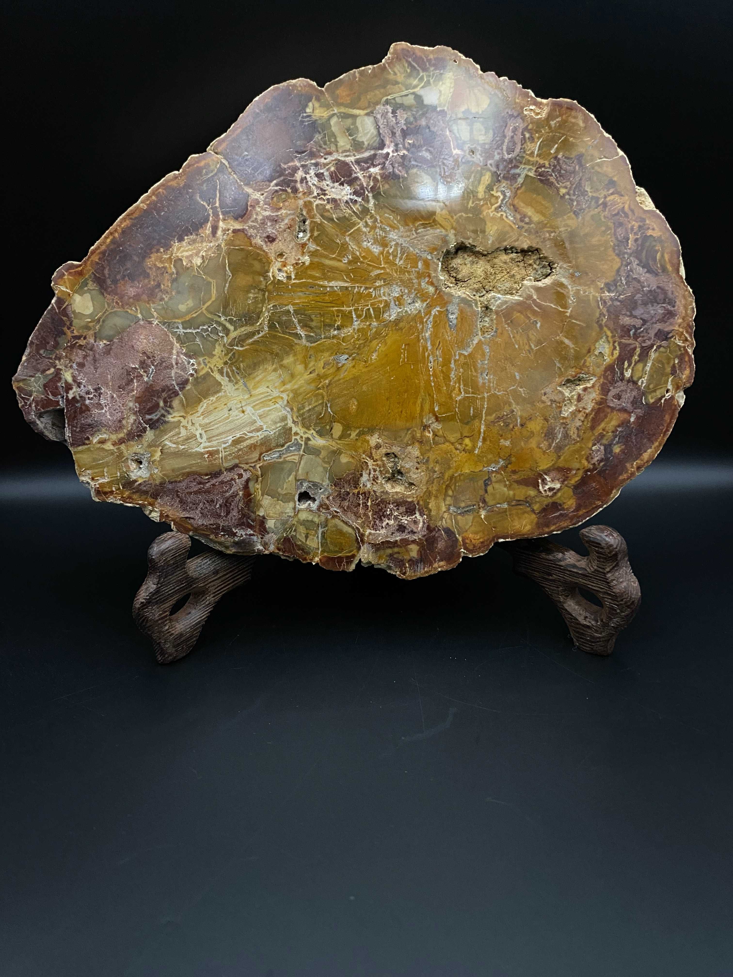 Cristale/Minerale - Lemn pietrificat - felie piatra semipretioasa