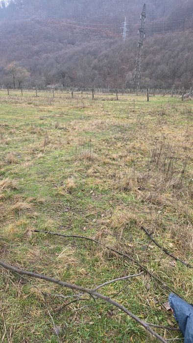 Vand teren intravilan in Pascoaia cu acces din DN  7 A