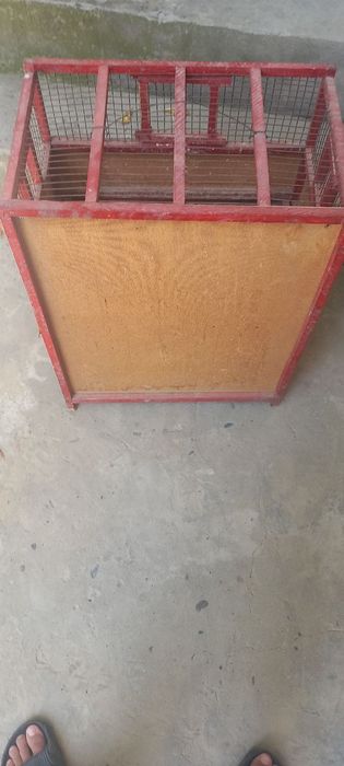 Кушларга кафас сотилади.