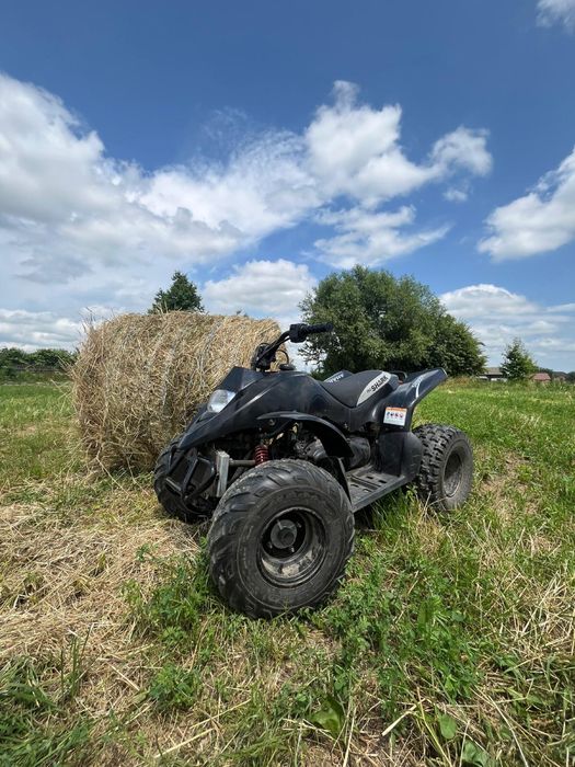 Vand atv 110cc 2 timpi