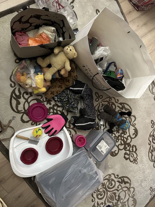 Продам комлект для собаки