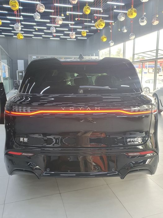 Voyah free 318. Apollo tech. Full. 4x4.