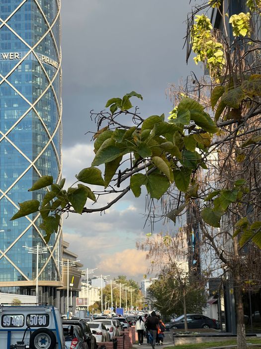 Аренда БЦ 2026г под Школу, Институт, Офис Яккасарайски р-н |14000 кв.м