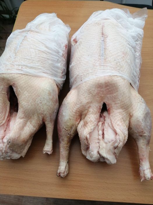 Гуси мясо домашнее.